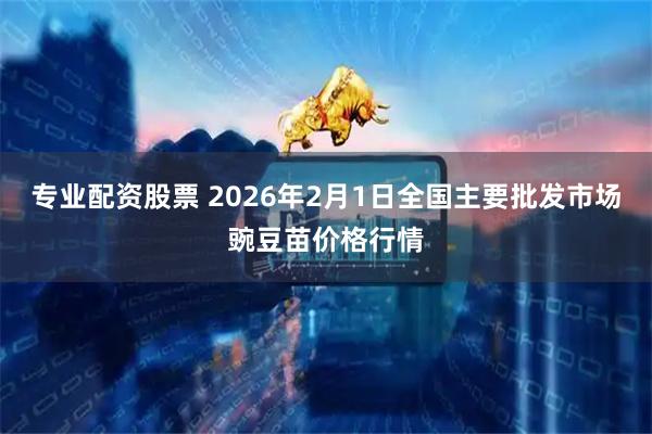 专业配资股票 2026年2月1日全国主要批发市场豌豆苗价格行情