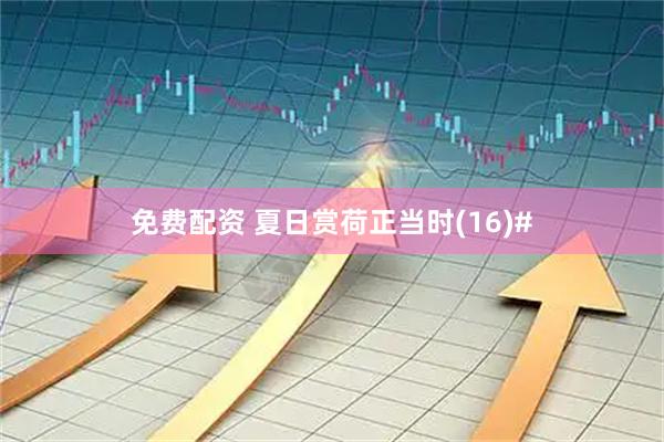 免费配资 夏日赏荷正当时(16)#